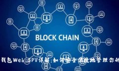 比特币钱包Web SPV详解：如何安全便捷地管理你的