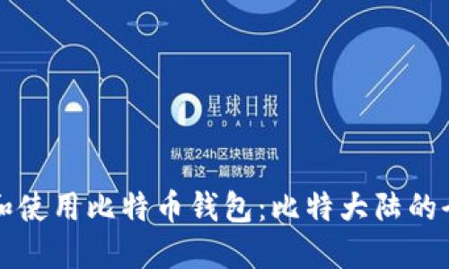 如何选择和使用比特币钱包：比特大陆的全方位指南