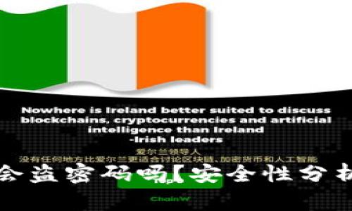 比特币钱包会盗密码吗？安全性分析与防护策略