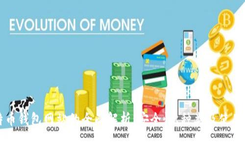 比特币钱包网站的全面解析：安全性、种类及使用方法