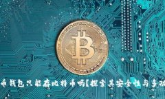 比特币钱包只能存比特币吗？探索其安全性与多
